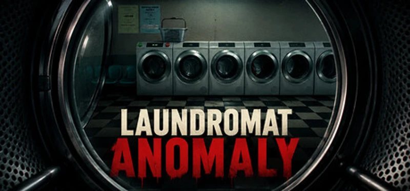 Laundromat Anomaly Image