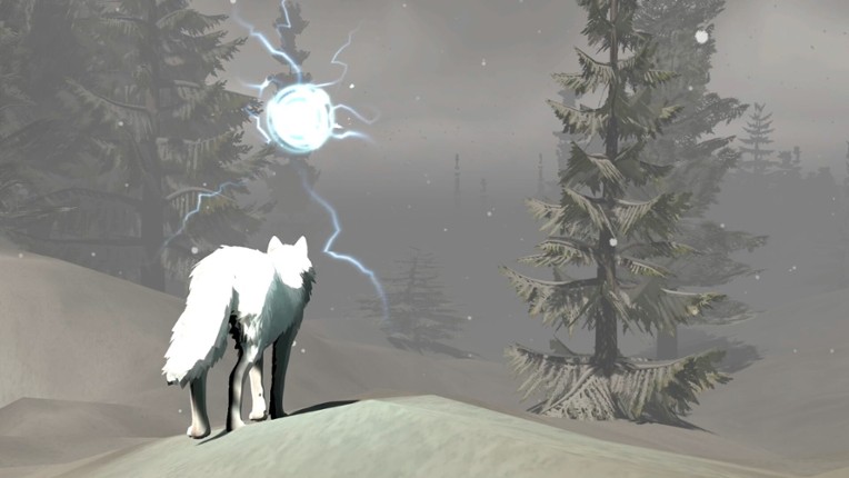 Lost In Winter Image