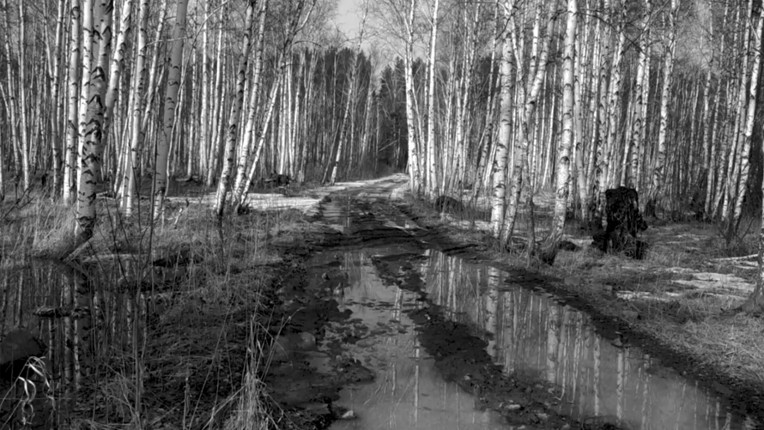 Russian Psychiatric Pastoral: Prologue screenshot