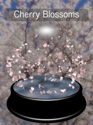 Snow Globe Maker AR/VR screenshot