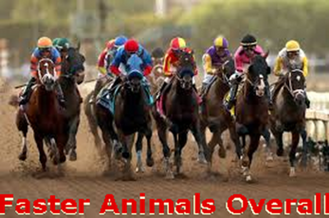 Turbo Skyrim Full Throttle No Stops Image