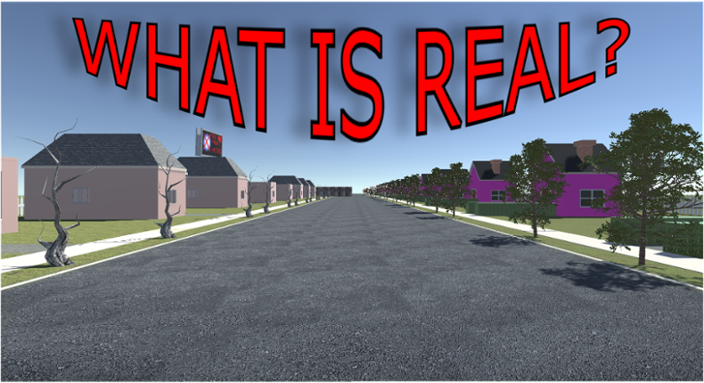 What is Real? Image