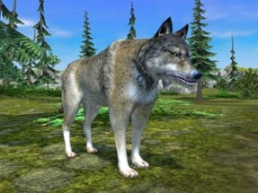 Wolf Simulator - Animal Games Image