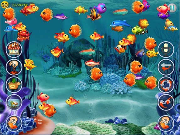 Aquarium Fishing Image