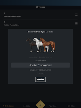 NOBLE HORSE DESIGN screenshot