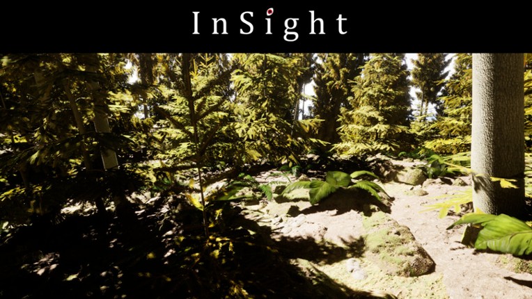 InSight Image