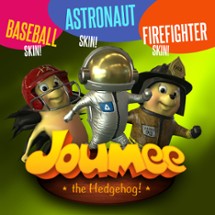 Joumee The Hedgehog Image