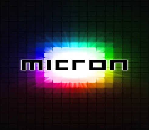 Micron Image