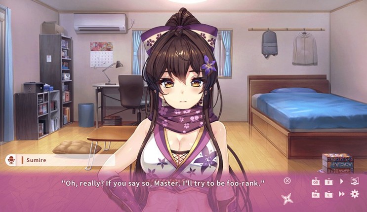 NinNinDays Image