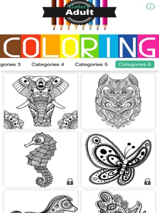 Owl Floral Coloring Book For Adult Relaxation Game Image