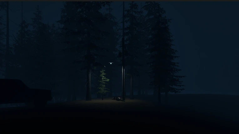 Stray Light Image